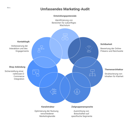Ein Netzwerkdiagramm zeigt die sieben gleichwertigen Prüfbereiche eines Marketing-Audits zur Bewertung der digitalen Vertriebsfähigkeit und deren Verbindungen.